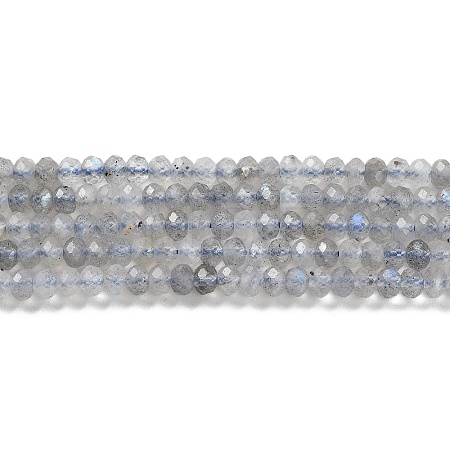 Natural Labradorite Beads Strands G-L587-B01-01-1