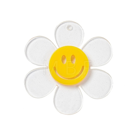 Transparent Acrylic Big Pendants OACR-P012-A06-1