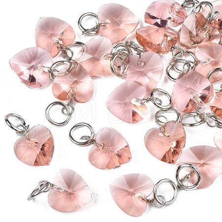 Faceted Transparent Glass Charms GLAA-T024-04J-1