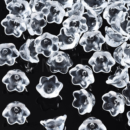 Transparent Glass Beads GLAA-Q089-002C-001-1