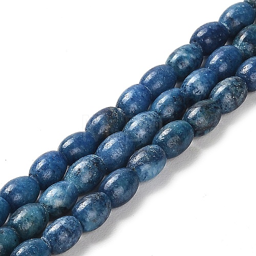 Natural Dolomite Beads Strands G-F765-A03-01-1