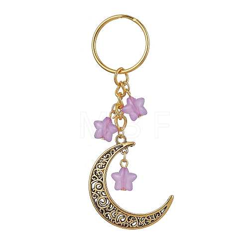 Tibetan Style Alloy Hollow Moon Pendant Keychain KEYC-JKC00690-03-1