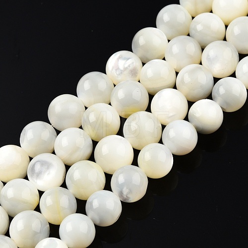 Natural White Shell Bead Strands SSHEL-N003-144G-01-1