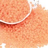 6/0 Luminous Glass Seed Beads X1-SEED-NH0001-01D-2