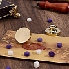 DIY Scrapbook Blank Brass Wax Seal Stamp Heads DIY-WH0899-902B-03-4