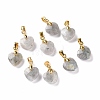 Natural Labradorite Pendants G-C023-07K-1