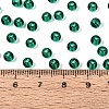 FGB Transparent Glass Seed Beads SEED-N013-01A-06-4