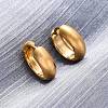 316 Surgical Stainless Steel Hoop Earrings for Women EJEW-G429-01C-G-3