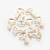 201 Stainless Steel Charms STAS-L233-035G-1