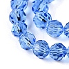 Transparent Glass Beads EGLA-A035-T10mm-D14-3