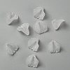 Transparent Acrylic Beads X-PL622-9-1
