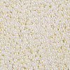 11/0 Grade A Round Glass Seed Beads SEED-N001-B-0481-2