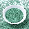MIYUKI Delica Beads SEED-MY11-DB1182-4