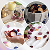 Polyester Artificial Rose Flower Petals AJEW-WH20067-107C-6