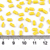 FGB 2-Hole Glass Seed Beads SEED-S031-M-SH42-2