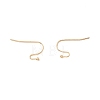 316 Surgical Stainless Steel Earring Hooks LS-X-STAS-P307-07G-3
