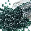 TOHO Round Seed Beads X-SEED-TR08-0118-1