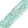 Natural Freshwater Shell Dyed Beads Strands SHEL-M018-13-2