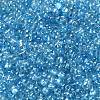 Glass Seed Beads SEED-L011-05B-13-3