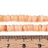 Natural Freshwater Shell Dyed Beads Strands SHEL-T020-29A-07-4