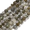 Natural Labradorite Beads Strands G-P497-01E-47-1
