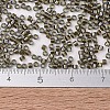 MIYUKI Delica Beads SEED-MY11-DB1773-4