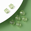 Transparent Acrylic Beads LS-MACR-S373-132-B02-2