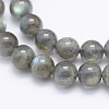 Natural Labradorite Beads Strands G-P336-19-7mm-3