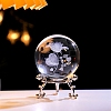 Inner Carving Glass Crystal Ball Diaplay Decoration PW-WGD9143-05-1