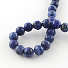 Dyed Natural Sesame Jasper Round Beads Strands X-G-R342-6mm-12-3