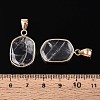Natural Quartz Crystal Pendants G-N349-04I-G-3
