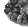 Faceted Natural Labradorite Rondelle Beads Strands X-G-K090-02-3