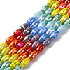 Electroplate & Gradient Color Glass Beads Strands LAMP-M023-04B-1