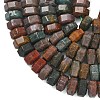 Natural Indian Agate Beads Strands G-L654-I09-01-4