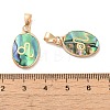 Constellation Natural Paua Shell Pendants KK-P265-01G-03-3