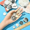 6Pcs Black Lip Shell Pendants SSHEL-YW0001-13A-5