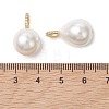 2Pcs 2 Styles Shell Pearl Pendants PALLOY-JF05422-3
