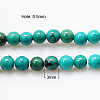 Gemstone Beads Strands G-H1565-3mm-2