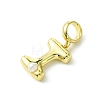 Rack Plating Brass with ABS Plastic Pearl European Dangle Charms KK-G501-02I-G-2