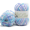 5-Ply Segment Dyed Milk Cotton Yarn PW-WG56798-05-1