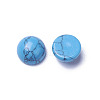 Synthetic Turquoise Cabochons G-F605C-04-2