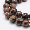 Natural Glaucophane Beads Strands G-K209-04A-12mm-3