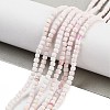 Natural Sea Shell Beads Strands G-H042-B33-01-2