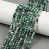 Natural Emerald Beads Strands G-M092-D01-02-1