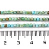 Natural Howlite Beads Strands G-G001-A02-05-5
