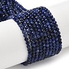 Natural Sodalite Beads Strands X-G-L622-C04-3mm-2
