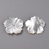 Natural White Shell Mother of Pearl Shell Beads SSHEL-R144-37-2