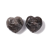 Natural Silver Obsidian Beads G-G859-12-2
