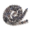 Natural Iolite Beads Strands G-J400-E05-02A-4