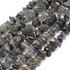 Natural Labradorite Beads Strands G-P332-54-1